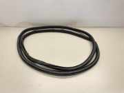 Türdichtung Lexus IS 3 (E3) 6233153070