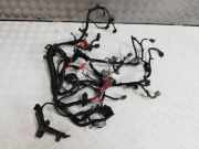 Kabelbaum Dacia Sandero I (BS)