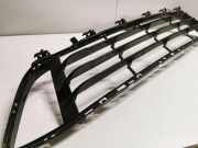 Gitter vorne unten BMW X1 (F48) xDrive 25 i 7383353