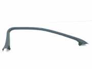 Türverkleidung vorne links