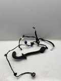 Türverkabelung hinten links RENAULT MEGANE IV (B9A/M_) 1.5 dCi 110 (B9A3) YMMTZ