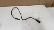 Abgastemperatursensor VW TOURAN (1T1, 1T2) 1.9 TDI 03L906088BS