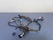 Kabelbaum VW Arteon (3H) 3G8971694P