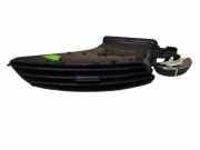 Ziergitter Ford C-Max II (DXA) 07466001