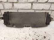 Ladeluftkühler OPEL VIVARO A Van (X83) 2.5 CDTI 8200411160C