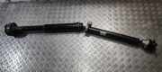 Kardanwelle MERCEDES-BENZ GLC (C253) 220 d 4-matic (253.303, 253.305) A2534101101