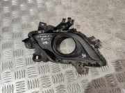 Nebelscheinwerferverkleidung