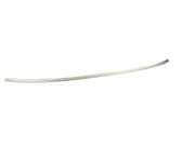 Dachleiste links BMW 3 (F30, F80) 320 d xDrive 7258181