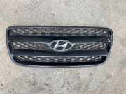 Vorderer oberer Gitter HYUNDAI SANTA FÉ II (CM) 2.2 CRDi GLS 4x4 E865612B000