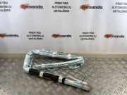 Airbag Dach links Ford EcoSport () CN15AO42D95