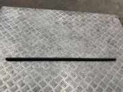 Fensterleiste Tür vorne links BMW 1 (F21) 116 i