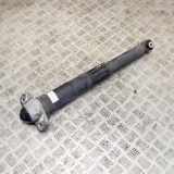 Stoßdämpfer hinten rechts VW ID.3 (E11) Pro 1EA512011AD 1EA513423F