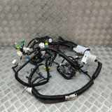 Kabelbaum HONDA CIVIC X Hatchback (FC_, FK) 2.0 Type-R (FK8) 32117-TGHA-A009