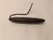 Parktronic PDC-Display