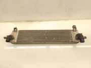 Ladeluftkühler NISSAN QASHQAI / QASHQAI +2 I (J10, JJ10) 2.0 dCi 4WD G3062007