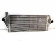Ladeluftkühler RENAULT LAGUNA II (BG0/1_) 1.9 dCI (BG0E) A5328 8200008761C