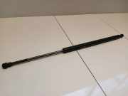 Heckklappendämpfer rechts BMW X5 (E53)