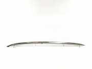 Griff Panoramadach Audi Q3 (8U) 8U0860022A