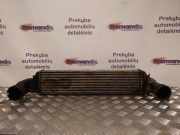 Ladeluftkühler BMW X3 (E83) 17517789793