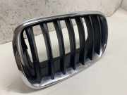 Vorderer oberer Gitter BMW X5 (E70) 3.0 d 7171395