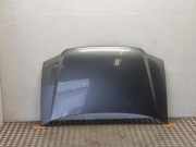 Motorhaube VW TOURAN (1T1, 1T2) 1.9 TDI