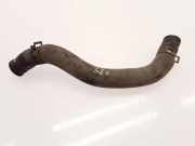 Schlauch Kühlung MAZDA DEMIO (DW) 1.5 16V