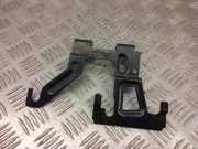 Kühlerträger Ford EcoSport () GN158T234AE