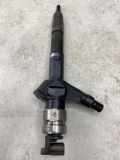 Einspritzdüse NISSAN PATHFINDER III (R51) 2.5 dCi 4WD 12H16869