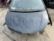 Motorhaube TOYOTA YARIS (_P13_) 1.5 Hybrid (NHP130_)