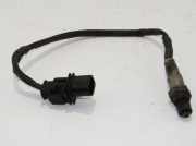 Sauerstoffsensor (Lambdasensor)