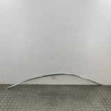 Rechte Dachleistenverkleidung