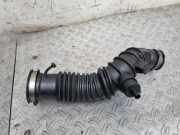 Luftansaugschlauch - vom Luftfilter zur Turbine RENAULT SCÉNIC III (JZ0/1_) 1.4 16V (JZ0F, JZ1V) 165750001R
