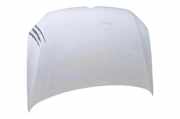 Motorhaube VW POLO (6R, 6C) 1.2