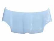 Motorhaube FIAT PANDA (169_) 1.3 D Multijet