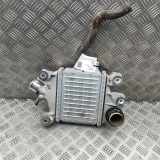 Ladeluftkühler Isuzu D-Max II (TFR, TFS) 8975340130