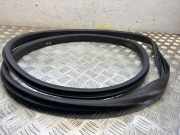 Türgummi rechts vorne Ford EcoSport ()