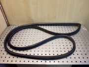 Türgummi rechts vorne Toyota Land Cruiser (J12)