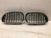 Gitter Grill vorne links BMW 5 Touring (E61) 530 d