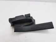 Schwellenverkleidung hinten links VW TIGUAN (AD1) 1.4 TSI 5NA868270B