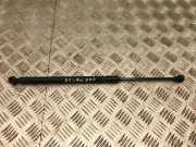 Heckklappe Gasdruckfeder links AUDI A5 (8T3) 2.0 TDI