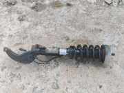 Stoßdämpfer vorne links BMW X5 (F15, F85) xDrive 25 d 37116863173