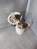 Kraftstofftankpumpe AUDI A4 Allroad (8KH, B8) 2.0 TDI quattro 8K0919051M