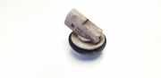 Blinker vorne links RENAULT LAGUNA I (B56_, 556_) 2.2 dT (B569) 14341200