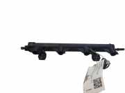 Einspritzleiste Peugeot 307 () V757564580