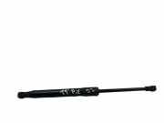Gasfeder für Motorhaube Audi TT (8J) 8J0823359C