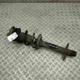 Stoßdämpfer vorne links