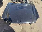 Motorhaube MERCEDES-BENZ E (W211) E 320 CDI 4-matic (211.089)