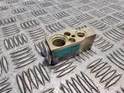 A/C Conditioner Expansion Valve RENAULT MEGANE Scenic (JA0/1_) 1.9 dTi (JA0N) 657940u