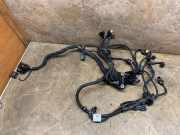 Motor Kabelbaum BMW 3 (G20, G28) 330 e Plug-in-Hybrid 5A02165