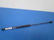 Heckklappendämpfer links Fiat Bravo II (198)